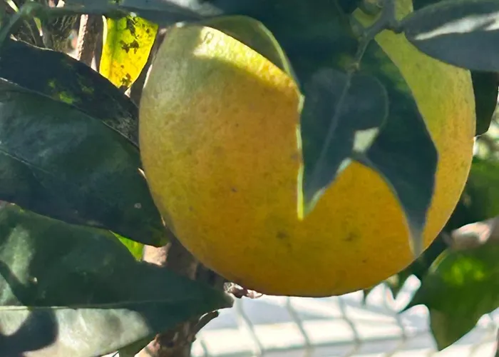 Maison d'hôtes Casa Nova 4*