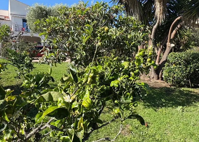 Casa Nova Maison d'hôtes Sagone (Corsica)