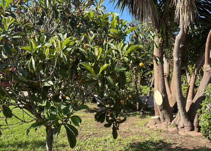 Casa Nova 4* Sagone (Corsica)