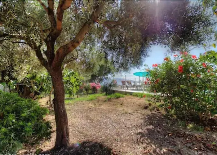 Maison d'hôtes Casa Nova Sagone (Corsica)