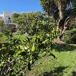 Casa Nova Konukevi Sagone (Corsica)