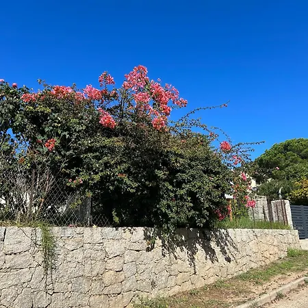 Konukevi Casa Nova - En Corse 4*