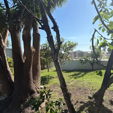 Casa Nova בית הארחה