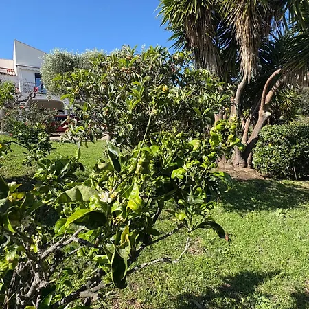 Casa Nova בית הארחה סאגון