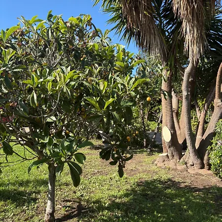 Casa Nova 4* Sagone (Corsica)